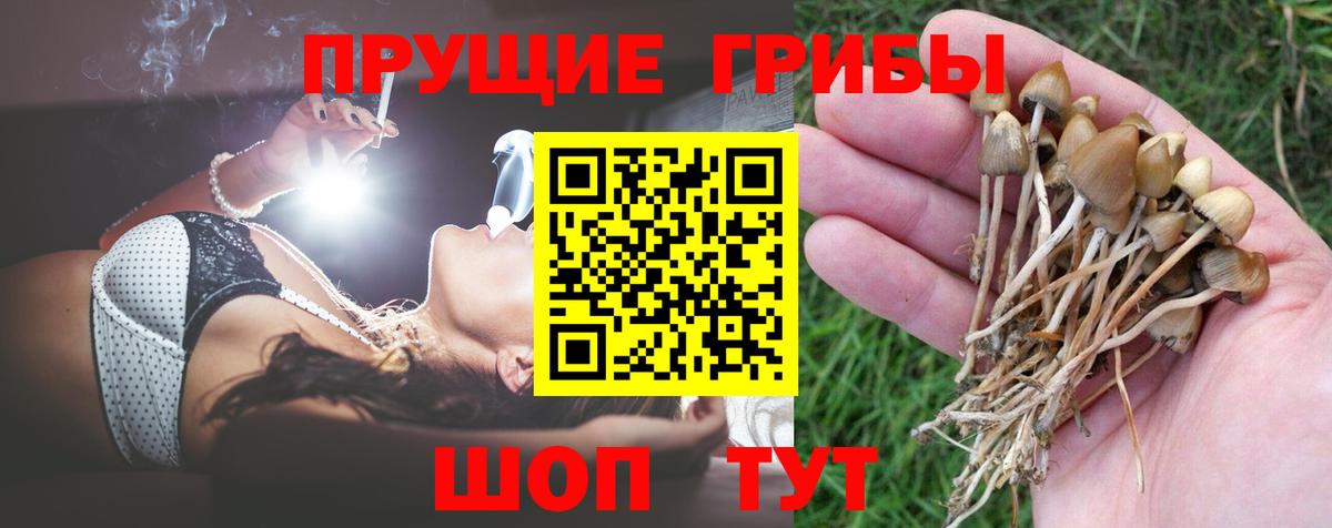 Галлюциногенные грибы Psilocybine cubensis  Вход с VPN  Спасск-Дальний 